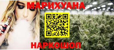 сатива Новодвинск