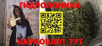 сатива Новодвинск